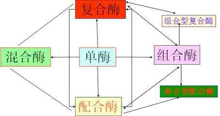 飼用酶制劑的產品現狀與技術開發路線升級——基于馮定遠教授BFC會議報告